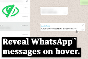 Privacy Extension For WhatsApp Web