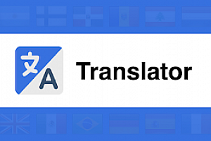 翻译, 字典 – 准确翻译