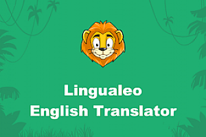 Lingualeo Language Translator
