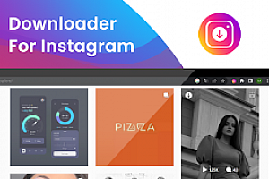 Instagram Video Downloader