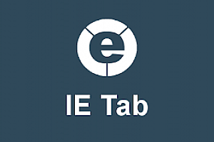 IE 标签页