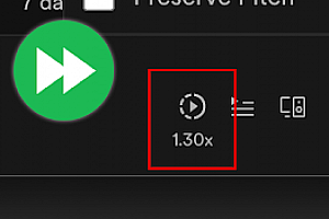 Spotify 播放速度