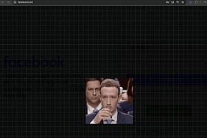 Facebook 隐私扩展