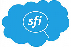 Salesforce 检查器重生