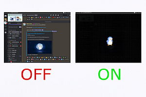 Discord 隐私扩展
