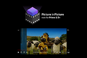 Netflix PiP 现在支持 Prime 和 D+