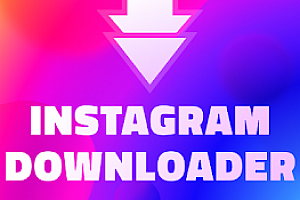 Instagram 下载器 – ToolMaster