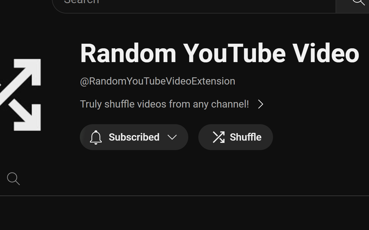 随机 YouTube 视频 插件截图