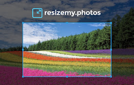 Resize 我的照片