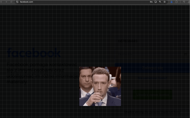 Facebook 隐私扩展 插件截图