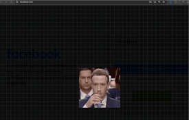 Facebook 隐私扩展