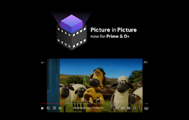 Netflix PiP 现在支持 Prime 和 D+