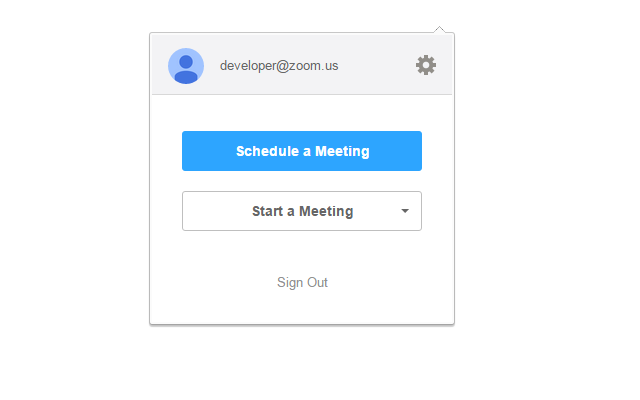 Zoom Chrome 扩展程序 插件截图